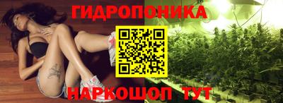 мяу мяу мука Ставрополь