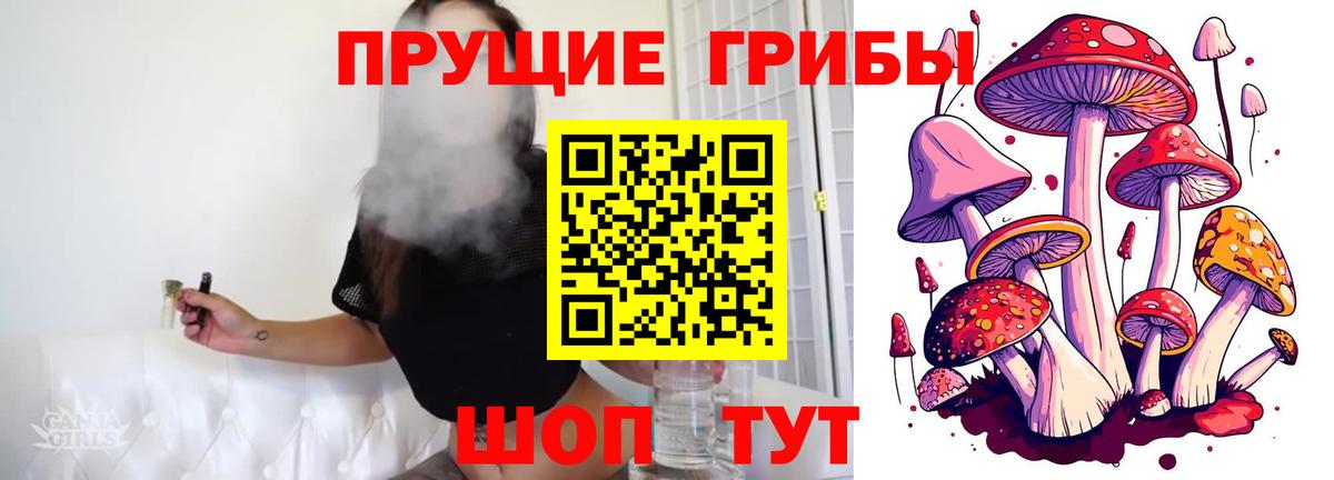 Галлюциногенные грибы MAGIC MUSHROOMS  магазин продажи   Славянск-на-Кубани  Вход с VPN 